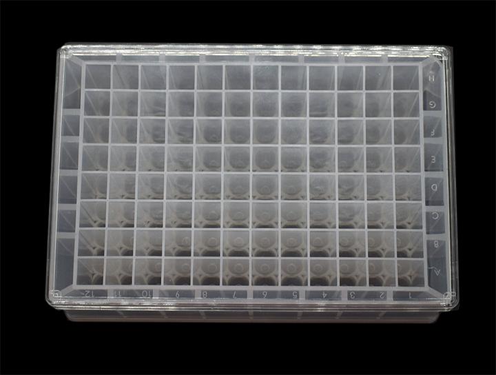 96孔深孔板(U形底, 1.8ml/孔)